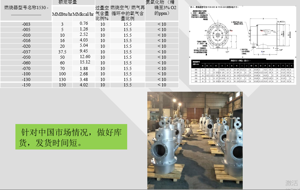 工業(yè)30毫克低氮燃燒機(jī)